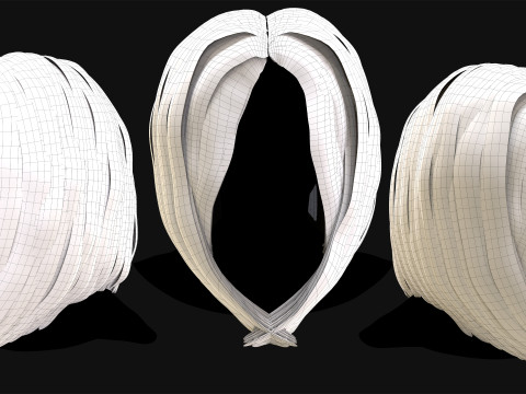 Professional Realtime Haircard Vol 3 3D Model
