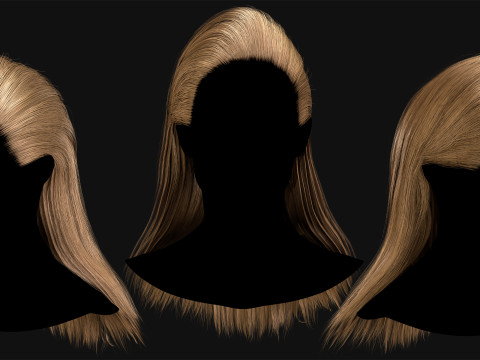 Professional Realtime Haircard Vol 3 3D Model