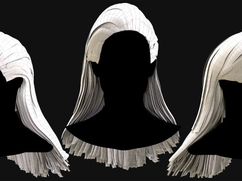 Professional Realtime Haircard Vol 3 3D Model