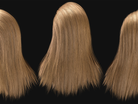Professional Realtime Haircard Vol 3 3D Model