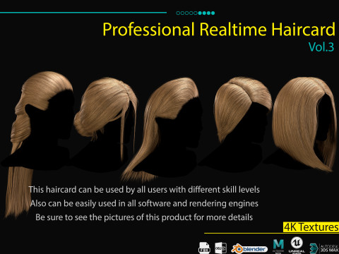 Professional Realtime Haircard Vol 3 3D Model