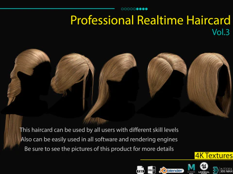 Profesyonel Ger&ccedil;ek Zamanlı Sa&ccedil; Kartı Cilt 3 3D Model