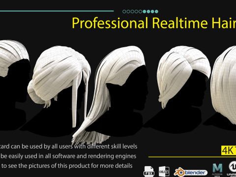 Professional Realtime Haircard Vol 3 3D Model