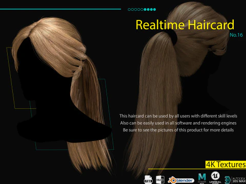 Realtime Haircard No16 3D Model