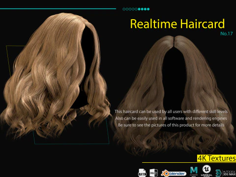 Realtime Haircard No17 3D Model