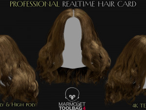 Realtime Haircard Vol 4 - No2 3D Model