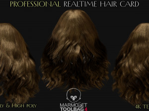 Realtime Haircard Vol 4 - No2 3D Model