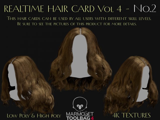 Realtime Haircard Vol 4 - No2 3D Model .c4d .max .obj .3ds .fbx .stl .blend 