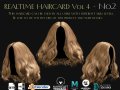 Realtime Haircard Vol 4 - No2 3D Model
