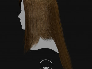 Realtime Haircard Vol 4 - No3 3Dモデル