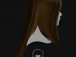 Realtime Haircard Vol 4 - No3 3Dモデル