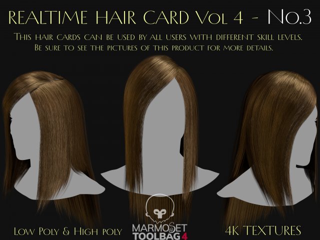 Realtime Haircard Vol 4 - No3 3Dモデル .c4d .max .obj .3ds .fbx .stl .blend 