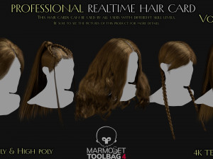 Professional Realtime Haircard Vol 4 Modelo 3D