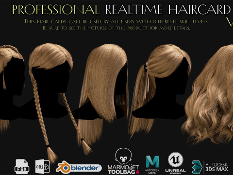 Professional Realtime Haircard Vol 4 3D Model
