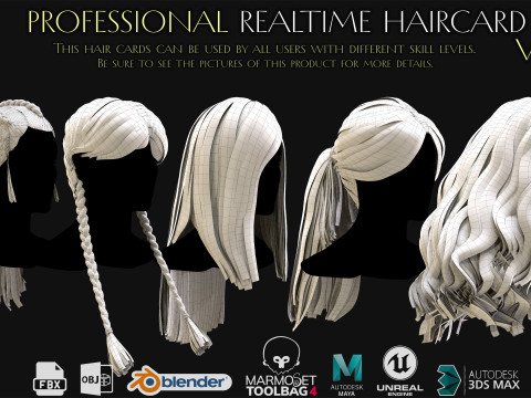 Professional Realtime Haircard Vol 4 3D Model