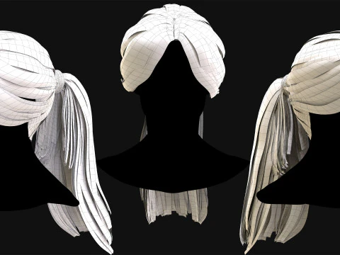 Profesyonel Ger&ccedil;ek Zamanlı Sa&ccedil; Kartı Cilt 4 3D Model