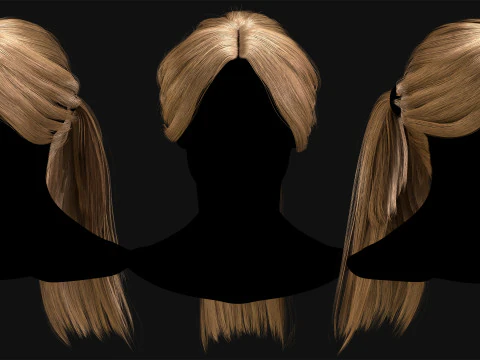 Profesyonel Ger&ccedil;ek Zamanlı Sa&ccedil; Kartı Cilt 4 3D Model