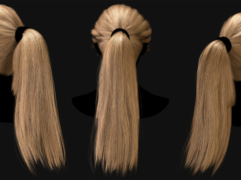 Professional Realtime Haircard Vol 4 3D Model