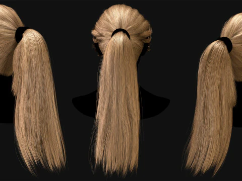 Profesyonel Ger&ccedil;ek Zamanlı Sa&ccedil; Kartı Cilt 4 3D Model