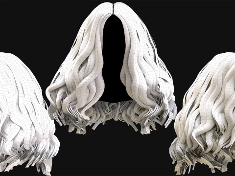 Profesyonel Ger&ccedil;ek Zamanlı Sa&ccedil; Kartı Cilt 4 3D Model