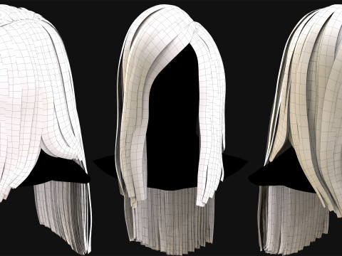 Professional Realtime Haircard Vol 4 3D Model