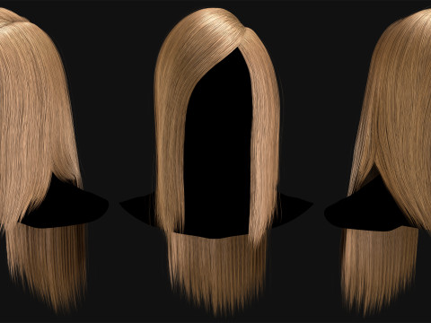 Professional Realtime Haircard Vol 4 3D Model