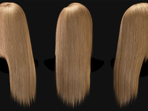 Profesyonel Ger&ccedil;ek Zamanlı Sa&ccedil; Kartı Cilt 4 3D Model