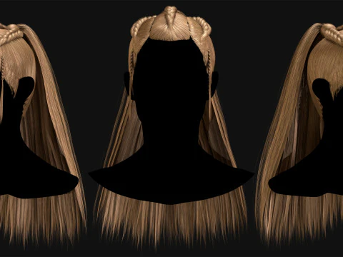 Profesyonel Ger&ccedil;ek Zamanlı Sa&ccedil; Kartı Cilt 4 3D Model