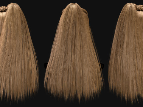 Professional Realtime Haircard Vol 4 3D Model
