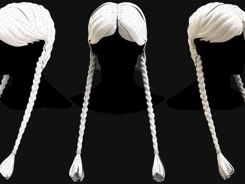 Profesyonel Ger&ccedil;ek Zamanlı Sa&ccedil; Kartı Cilt 4 3D Model