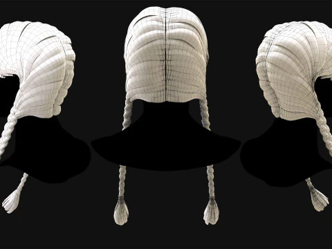 Profesyonel Ger&ccedil;ek Zamanlı Sa&ccedil; Kartı Cilt 4 3D Model