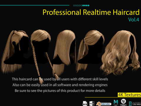 Professional Realtime Haircard Vol 4 3D Model