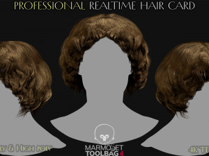 Realtime Haircard Vol 5 - No2 3D Model
