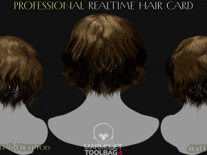 Realtime Haircard Vol 5 - No2 3D Model