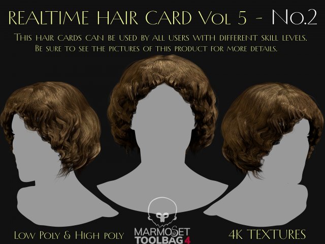 Realtime Haircard Vol 5 - No2 3D Model .c4d .max .obj .3ds .fbx .stl .blend 
