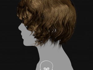 Realtime Haircard Vol 5 - No2 3D Model