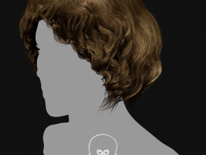 Realtime Haircard Vol 5 - No2 3D Model