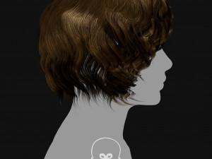 Realtime Haircard Vol 5 - No2 3D Model