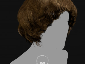 Realtime Haircard Vol 5 - No2 3D Model