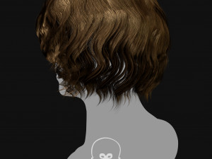 Realtime Haircard Vol 5 - No2 3D Model