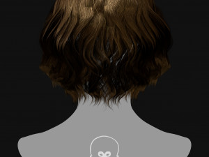 Realtime Haircard Vol 5 - No2 3D Model