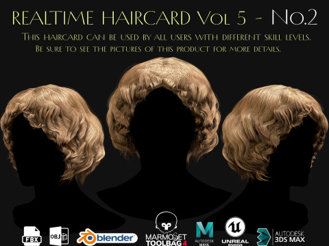 Realtime Haircard Vol 5 - No2 3D Model