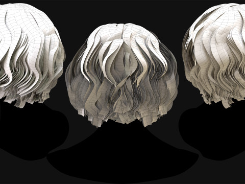 Realtime Haircard No22 3Dモデル