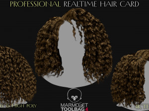 Realtime Haircard Vol 5 - No3 3D Model