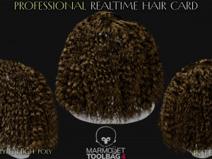 Realtime Haircard Vol 5 - No3 3D Model