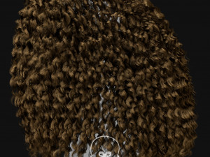 Realtime Haircard Vol 5 - No3 3D Model