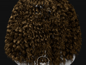 Realtime Haircard Vol 5 - No3 3D Model
