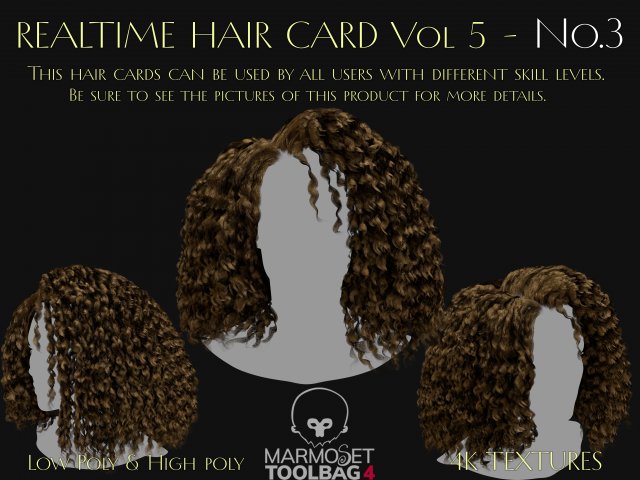 Realtime Haircard Vol 5 - No3 3D Model .c4d .max .obj .3ds .fbx .stl .blend 