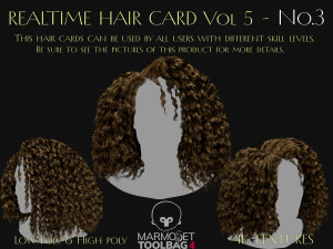 Realtime Haircard Vol 5 - No3 3D Модель