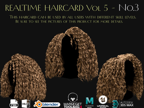 Realtime Haircard Vol 5 - No3 3D Model